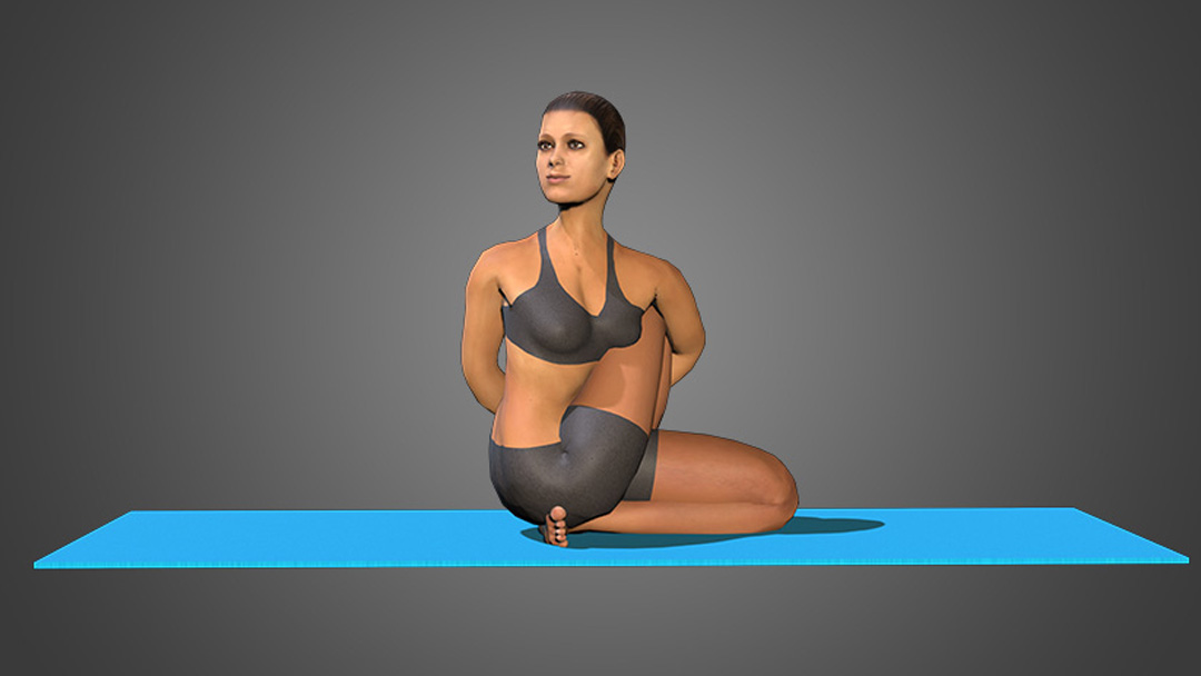 83,923 Standing Yoga Poses Images, Stock Photos, 3D objects